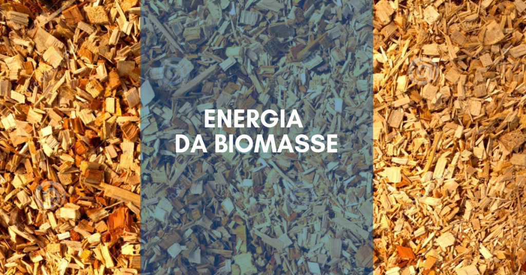 Energia da Biomasse: Come Viene Prodotta? - My WordPress